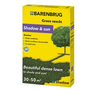 BARENBRUG SHADOW & SUN 1/1
